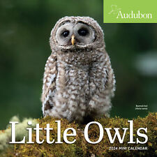 Workman Audubon Little Owls 2024 Mini Calendar w picture