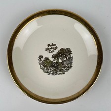 Vintage Sabin Crest-O-Gold Palm Springs Cal Palm Canyon 22K Gold Rim Plate Boho picture