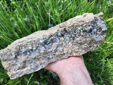 Large 13 lb 13 oz Turritella Agate, Wyoming Fossil Beds, Ideal for Lapidary picture