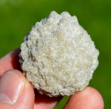 Calcite var. Sand-Calcite 54 grams - Fontainebleau, Seine-et-Marne, France picture