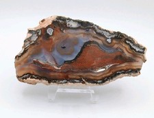 Texas Agate Slice- Face Polish-Cool Blue, Red & Orange Pattern (5