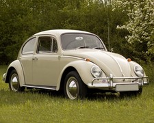  1966 VOLKSWAGEN Bug Photo (225-E) picture