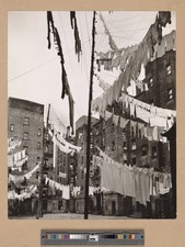 Berenice Abbott Vintage 1930s NYC Laundry Tenement Photo Reprint Wall Art picture