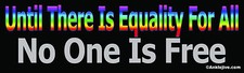 Until There Is Equality For All No One Is Free -  Liberal Window/Bumper Sticker picture