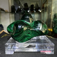 3.35LB  Natural glossy Malachite egg transparent cluster rough mineral sample picture