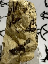 Native American Indian Authentic Carved Stone Ancient Effigy   4.3  oz • VA  picture