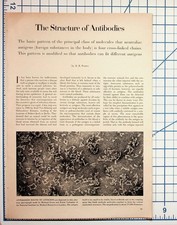 1959 The Structure of Antibodies Scientific Article Ephemera R. R. Porter picture