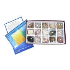American Educational 2231 15 Piece Sedimentary Rock Collection picture