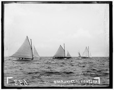 Photo:Oyster Bay New York 1898 Trial Race Yachts Regatta Sailboats picture