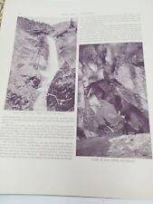 1894 Photos Colorado Waterfalls Santa Fe New Mexico Our Own Country May Antique picture