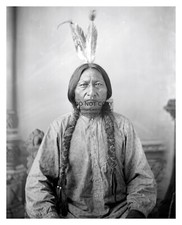 SITTING BULL NATIVE AMERICAN CHIEF 1883 OLD WEST 8X10 PHOTO REPRINT picture