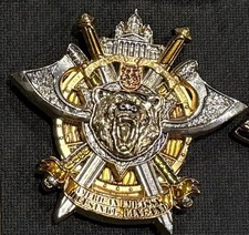 Marine Security Guard MSG Helsinki Finland Bear Cathedral Challenge Coin Lion picture