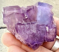 Zoned Fluorite Cave In Rock Harris Co. Illinois Denton Mine Pink Uv picture