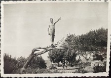 Vintage Photo Sexy Shirtless Man on Tree Branch Gay Interest 1950s picture