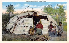 A Birch Bark Indian Home Native American Vintage Postcard picture
