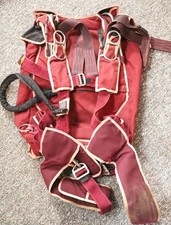 Strong Dual Hawk tandem skydiving parachute container + drogue picture