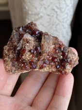 Exquisite Natural Wine Red Gem Grade Garnet On Smoky Quartz Mineral Specimen picture