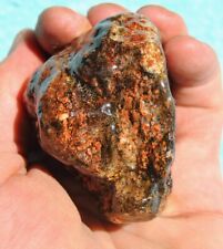 Dinosaur Gembone (Ruby Red Ball Joint) Agatized Petrified Jurassic 182gr-6.3oz picture