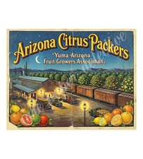 Yuma Arizona Citrus Packers 1950s Retro Style Fruit Crate Label 8