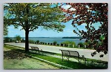 Mississippi River View At Rand Park Keokuk Iowa Vintage Unposted Postcard picture
