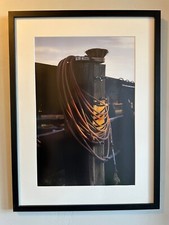 Jason Whitman Cowboy Photography “Reata on a Fence Post” picture