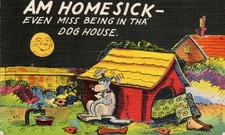 Am Homesick - Even Miss the Dog House comic - Linen Postcard - circa 1940s picture