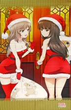 Girls und Panzer Nishizumi Shiho & Shimada Chiyo Noren Tapestry Japan picture
