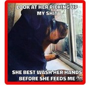 Funny Rottweiler Dog Wash Hands  Before Feed Me Refrigerator / Tool  Box  Magnet picture