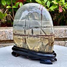 5.15LB  High quality Chinese painting stone shaped specimen decoration picture