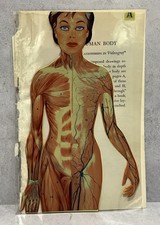 Vintage Videograf Human Body Anatomy Transparent Overlay Medical Illustration picture