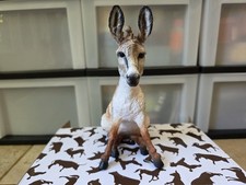 Breyer Dryandra Wild Animal Series 2026 picture