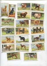 1938 GALLAHER LTD. DOGS 20 DIFFERENT TOBACCO CARD LOT 2ND SERIES picture