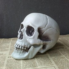 Halloween Skull Decoration,Realistic Plastic Skull,Head Skeleton,Halloween Party picture