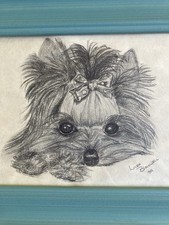 VTG Yorkshire Terrier Original Drawing Dog Art, 1989, Signed, Framed Teal, 5 X 7 picture