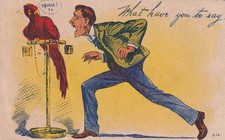 What Have You To Say Man Parrot Everton MO Lockwood 1909 Postcard E31 picture