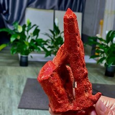 140G Natural Red coral reef Cluster Ocean Mineral Crystal Specimen picture