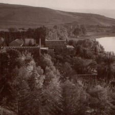 c1920s Sea of Galilee Israel RPPC Postcard Vester Jerusalem American Colony View picture