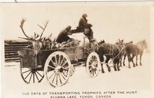 Yukon Canada -- Kluana Lake  -- RPPC -- Hunters on Wagon w/Caribou - ca. 1924-49 picture