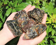 Indonesian Raw Amber: Choose Size (A Grade, Natural Rough Black Amber Crystals) picture