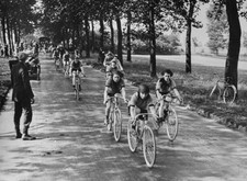 Competitors participating a cycle race along a tree-lined road Fra- Old Photo picture
