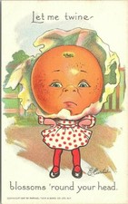 LITHO Artist-Signed E. Curtis Anthropomorphic Orange 1907 Raphael Tuck picture