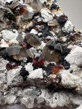 Gemmy Orange Spessartine on Smoky Quartz Fujian Province, China picture