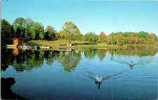 Postcard USA South Carolina Fort Mill Heritage USA Lake House Paddle Boats picture