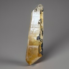 “Golden Current” Hashupi Himalayan Honey-gold Quartz Black Mineral Point Crystal picture