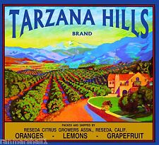 Reseda Tarzana Hills California Vintage Orange Citrus Fruit Crate Label Print picture