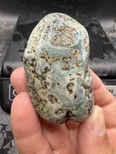 Rough Large Wyoming Platte River Whole Blue Tree Agate 610 Carats picture