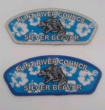 Flint River Council 2024 Silver Beaver CSP Set Issued By Ini To 324 picture