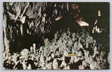 Fairyland Carlsbad Caverns New Mexico Curteichcolor Vintage Postcard SC-K2802 picture