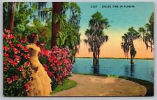 Azalea Time Florida Cypress Gardens Tropical Flowers Waterfront Vintage Postcard picture