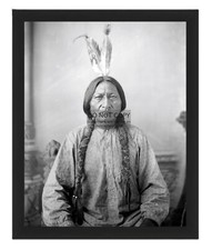 SITTING BULL NATIVE AMERICAN CHIEF 1883 OLD WEST 8X10 FRAMED PHOTO REPRINT picture